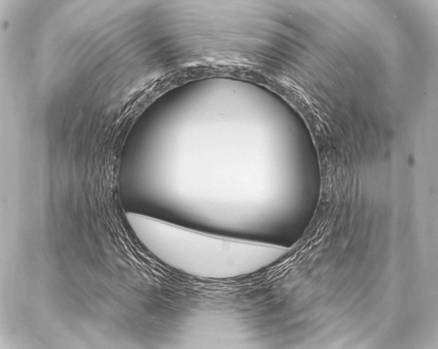 X0000088161110200705150919