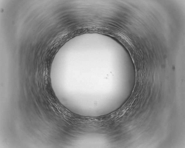 X0000088161111200705150919
