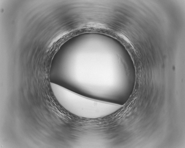 X0000088161112200705150919