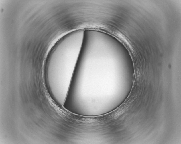 X0000088161124200705150919
