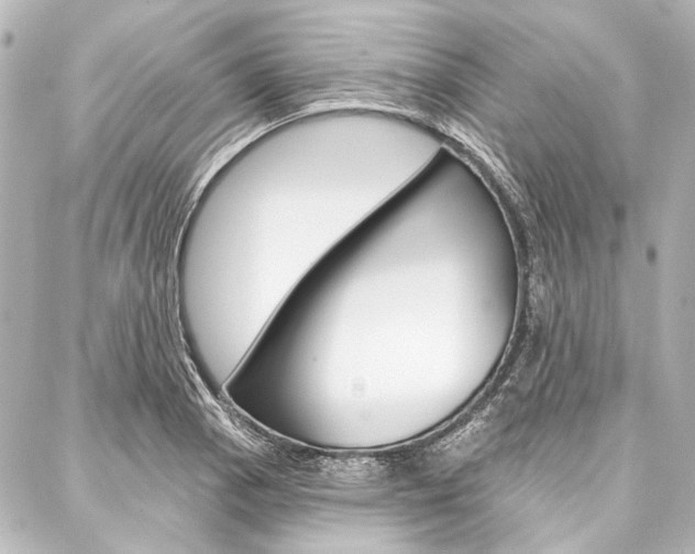X0000088161129200705150919