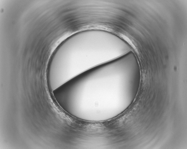 X0000088161133200705150919