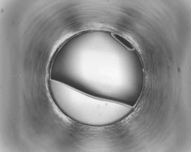 X0000088161136200705150919