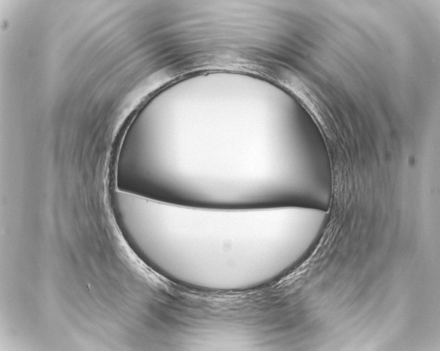 X0000088161139200705150919
