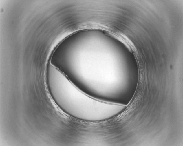 X0000088161144200705150919