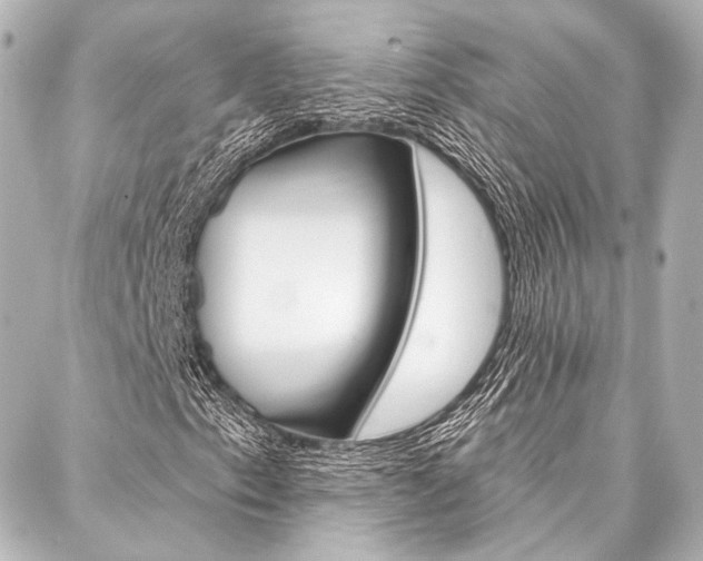 X0000088161153200705150918