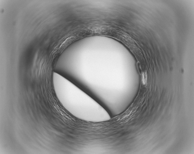 X0000088161155200705150918