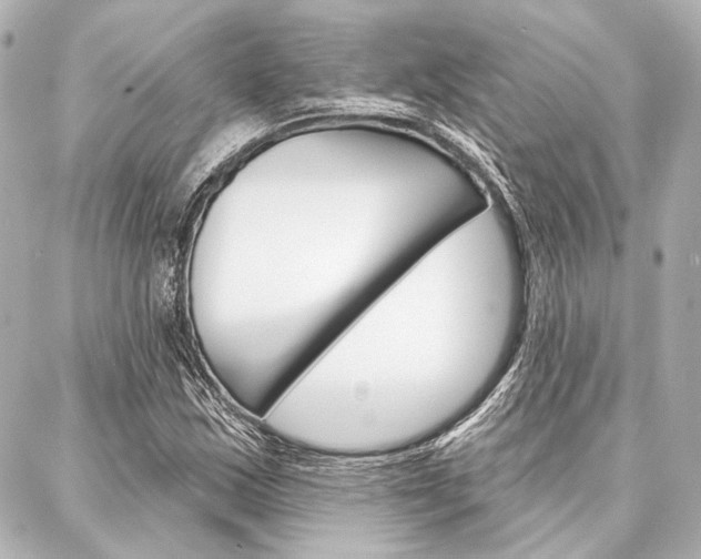 X0000088161163200705150918