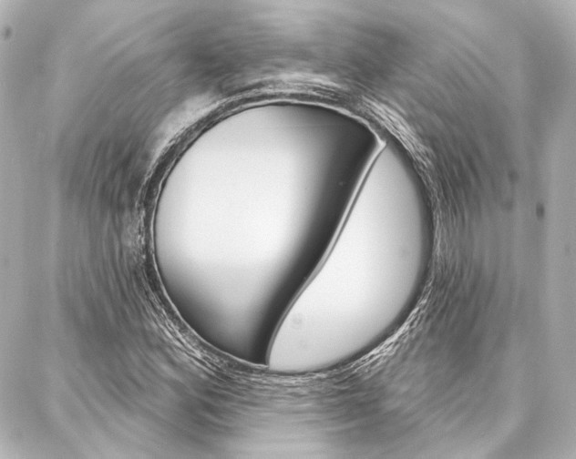X0000088161164200705150918