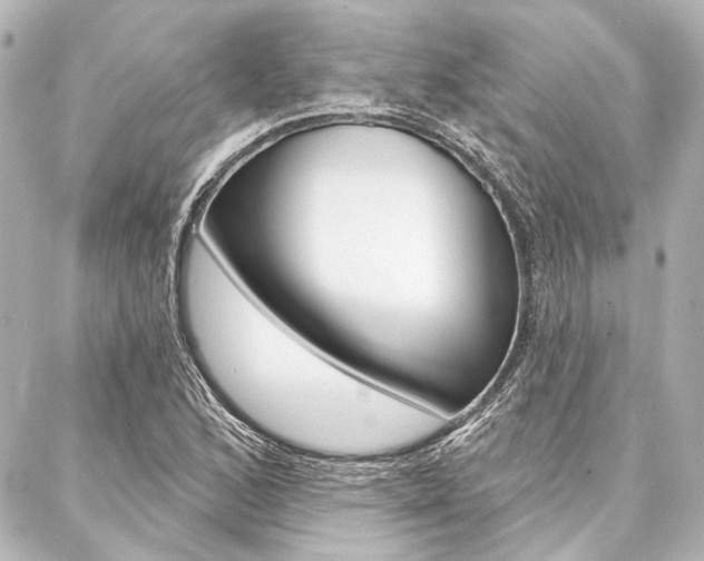 X0000088161168200705150918