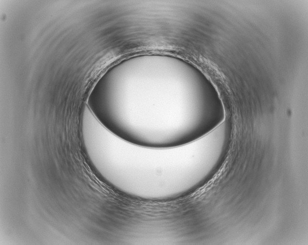 X0000088161169200705150918