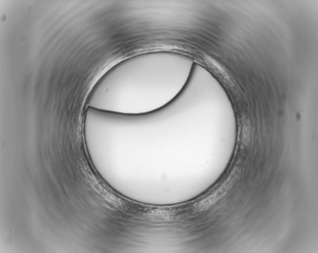 X0000088161178200705150918