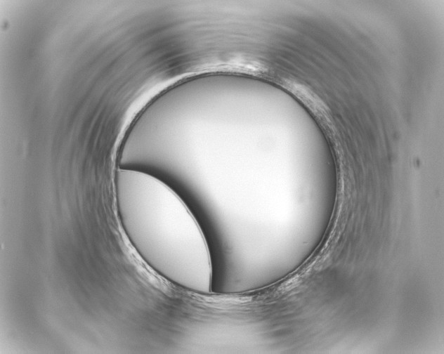 X0000088161200200705150918