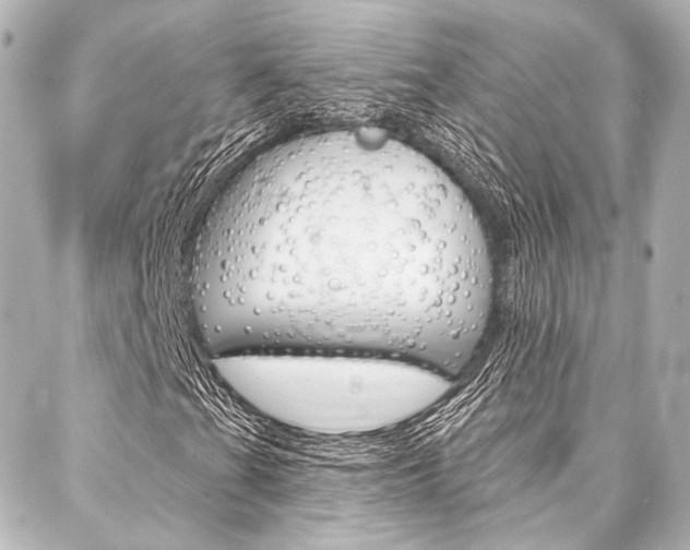X0000088161201200705150917
