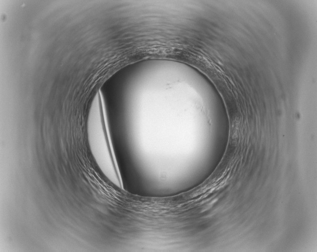 X0000088161202200705150917