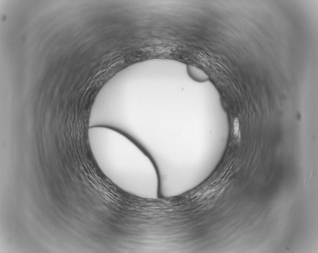 X0000088161203200705150917