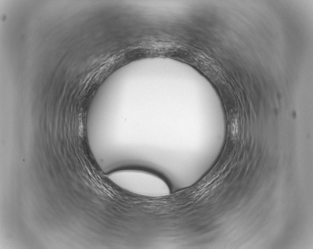 X0000088161204200705150917