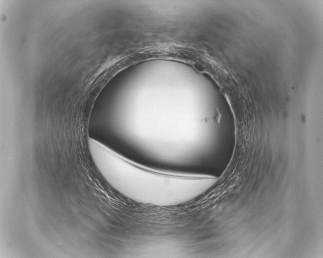 X0000088161206200705150917