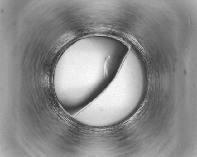 X0000088161209200705150917