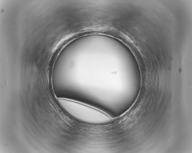 X0000088161214200705150917
