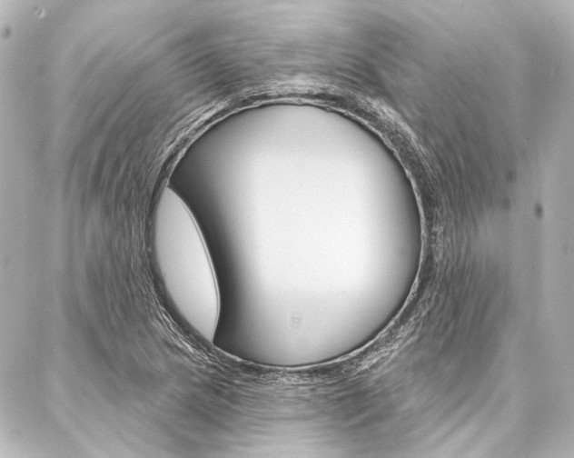 X0000088161217200705150917
