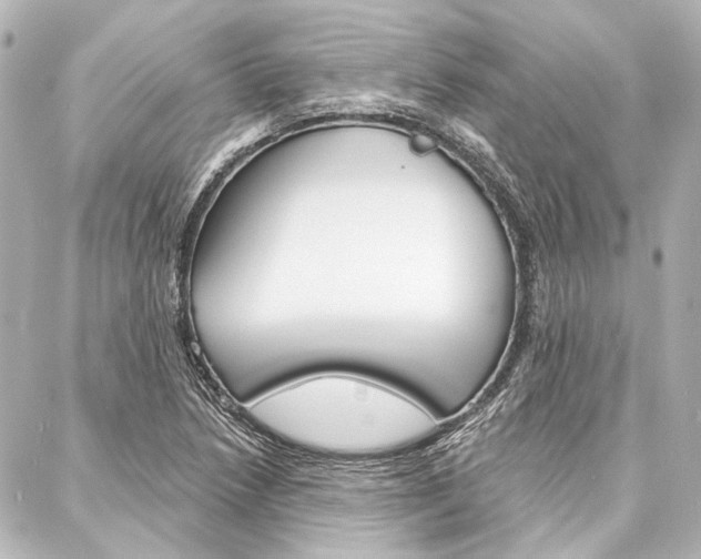 X0000088161218200705150917
