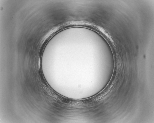 X0000088161221200705150917