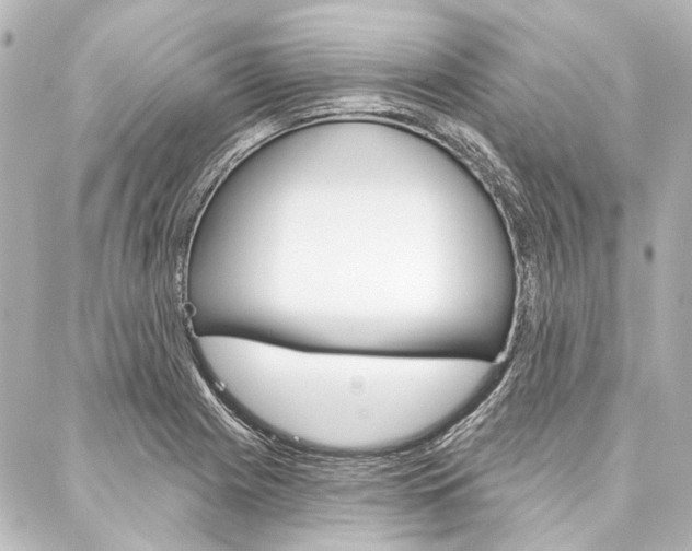 X0000088161225200705150917