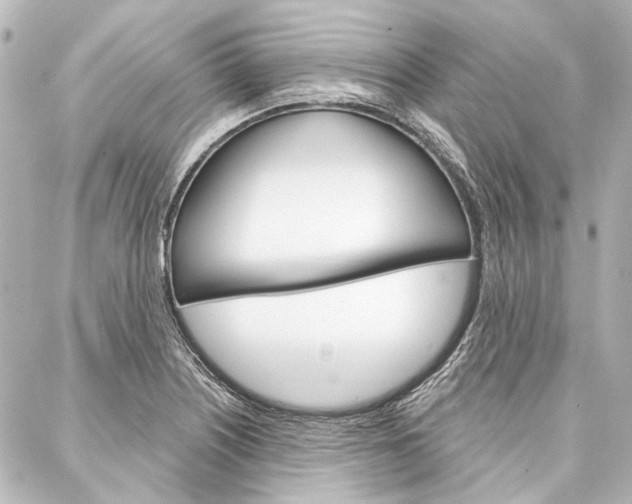 X0000088161226200705150917