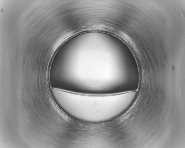 X0000088161234200705150917