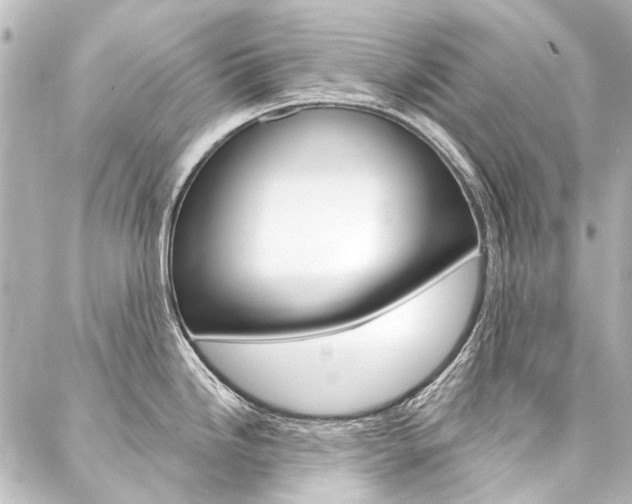 X0000088161246200705150918