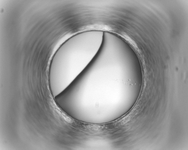 X0000088161248200705150918