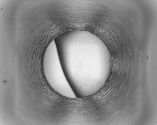 X0000088161249200705150917