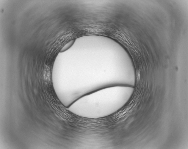 X0000088161251200705150917