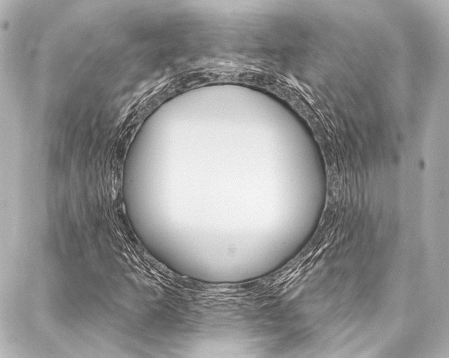 X0000088161253200705150917