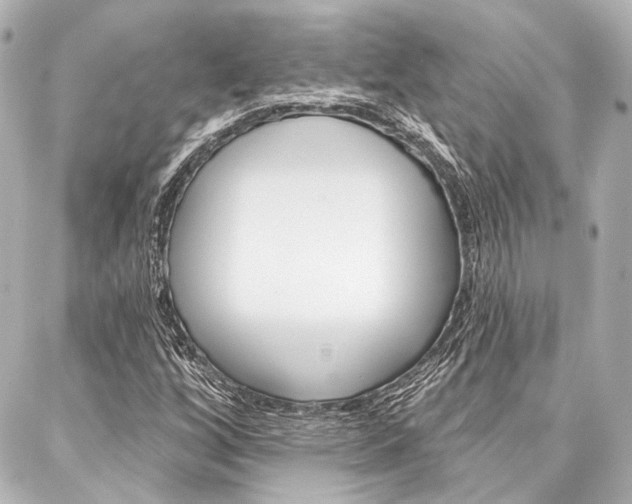 X0000088161256200705150917
