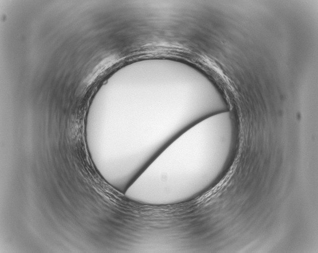 X0000088161259200705150917