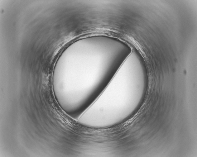 X0000088161260200705150917