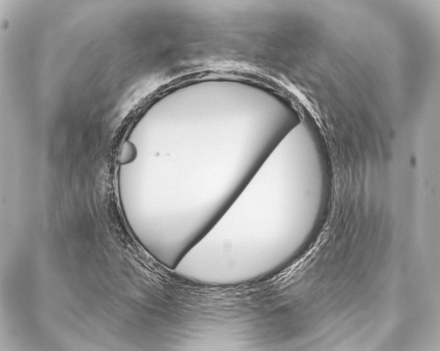 X0000088161263200705150917