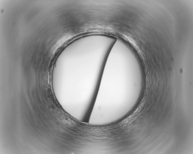 X0000088161267200705150917