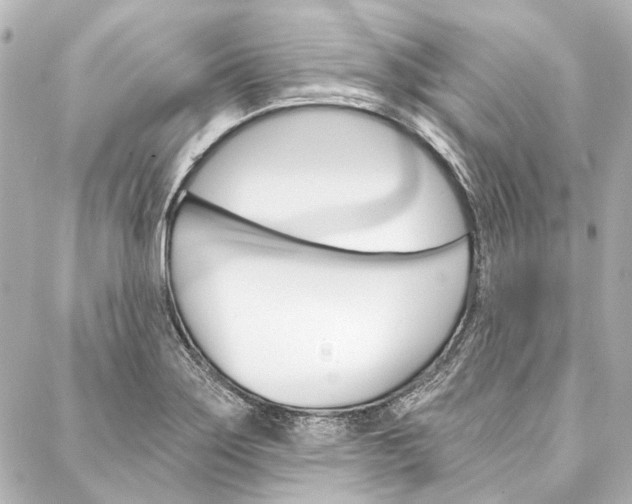 X0000088161275200705150916
