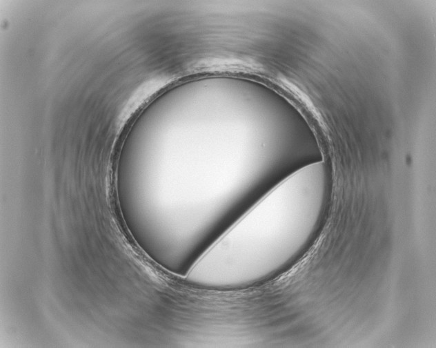 X0000088161277200705150916