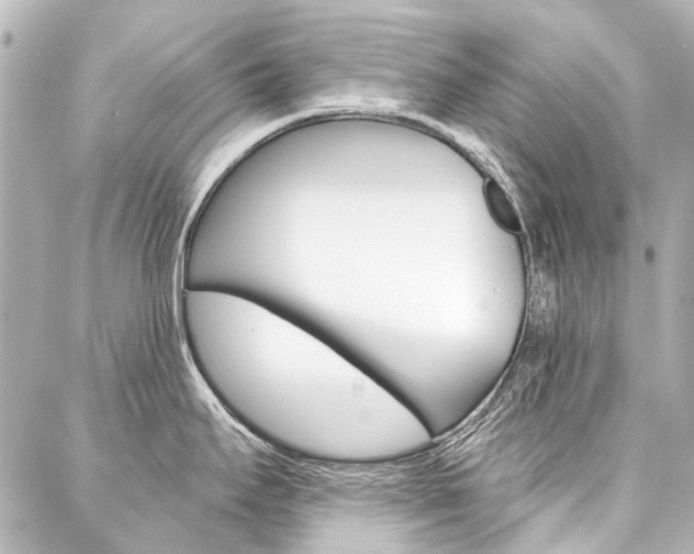 X0000088161295200705150916