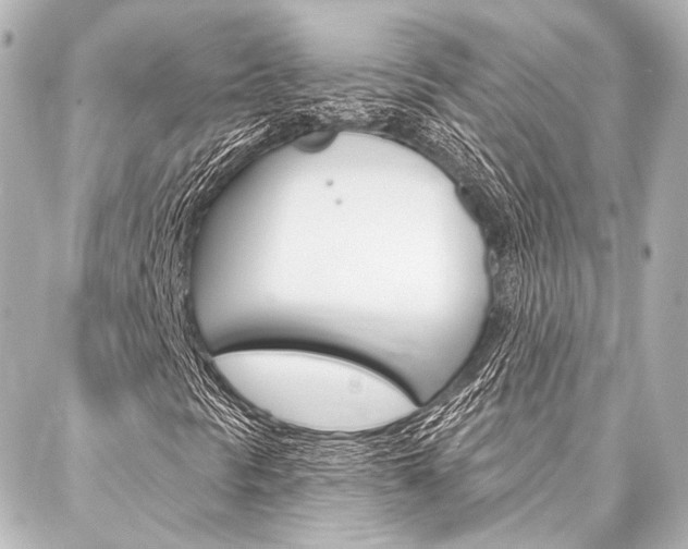 X0000088161297200705150915