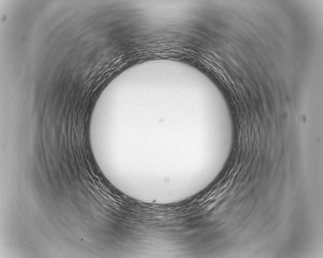 X0000088161298200705150915