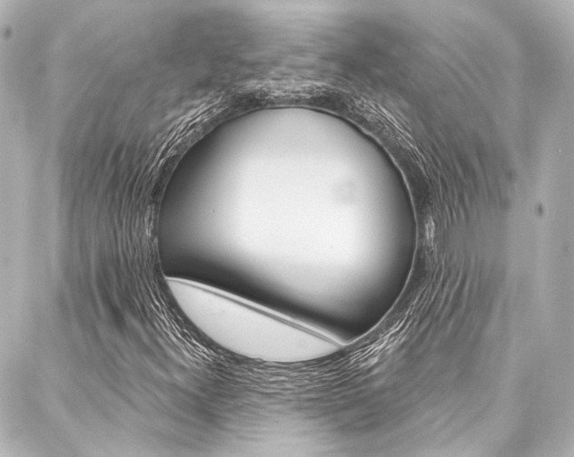 X0000088161300200705150915