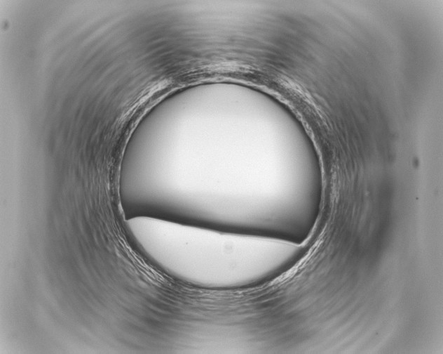 X0000088161305200705150915