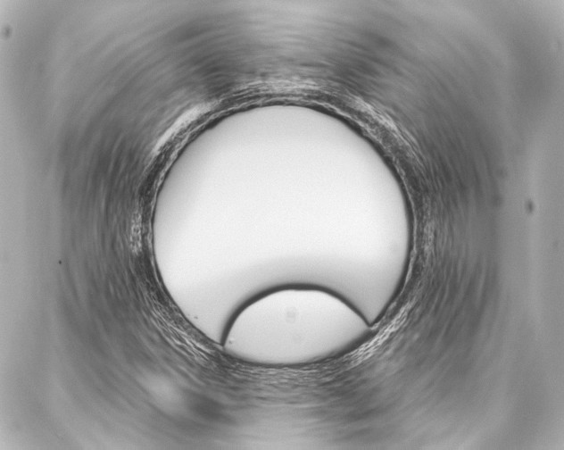 X0000088161306200705150915