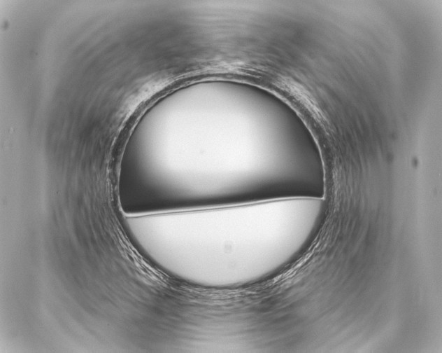 X0000088161308200705150916