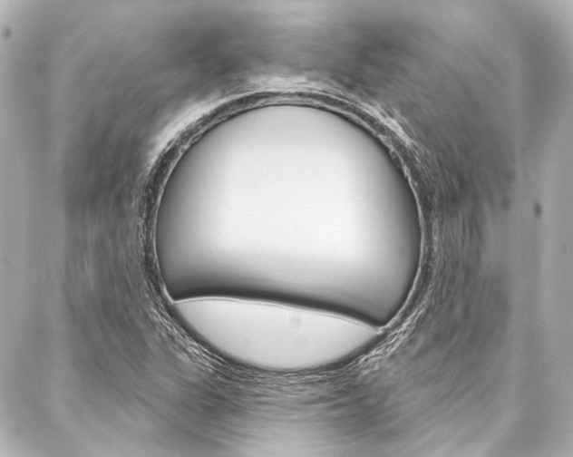 X0000088161311200705150916